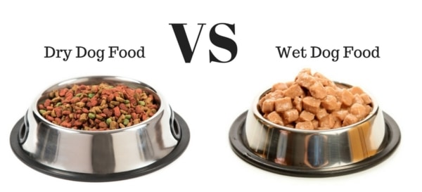 Dog-Food-Wet-vs-Dry