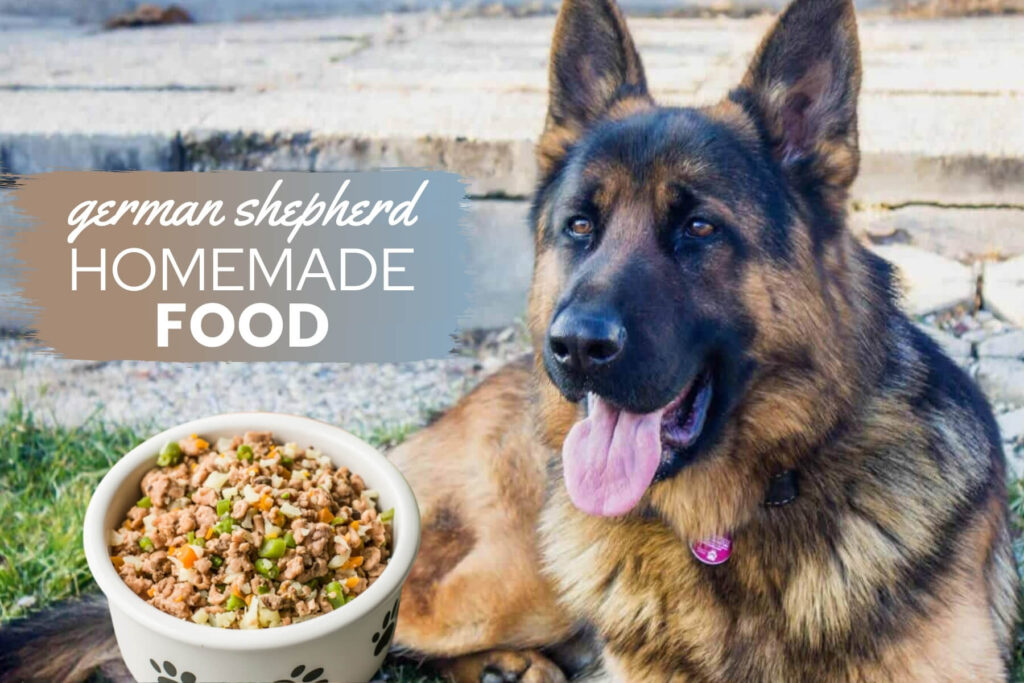 Home-Cooked Meals for German Shepherds: A Step-by-Step Guide